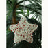 Recycled Wire Star Ornament