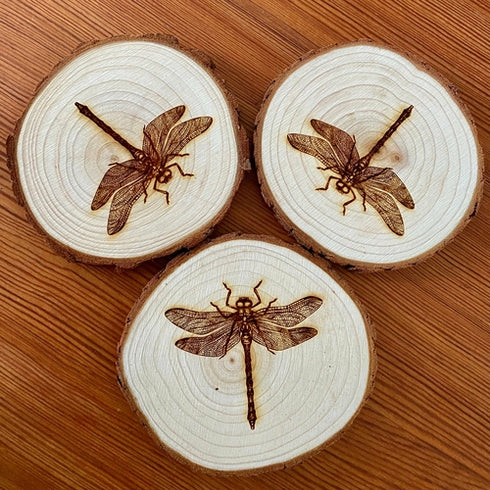 Dragonfly Engraved Wood Coaster Set