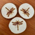 Dragonfly Engraved Wood Coaster Set