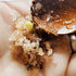 Synergy Himalayan Salt Scrub